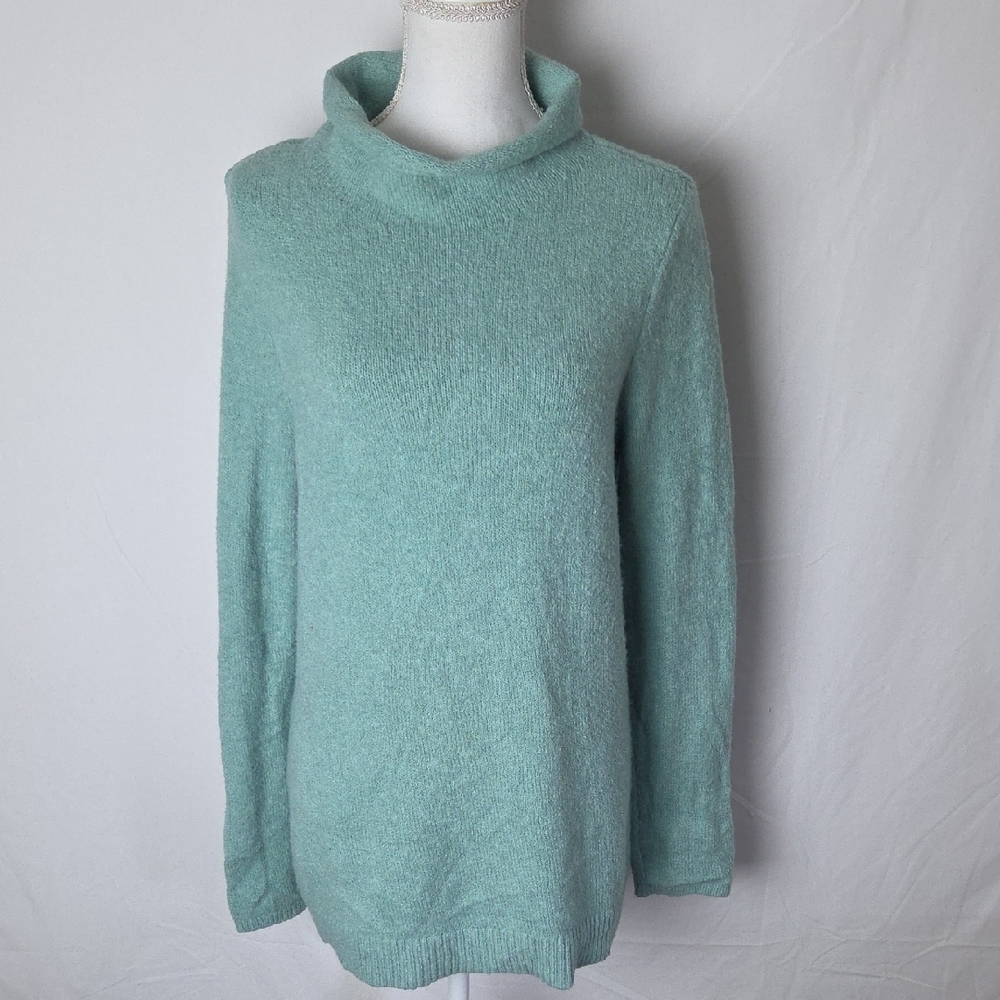 J Jill Women's Cozy Wool Blend Mint Cow/Turtleneck Sweater Lg Sleeve Med Petite